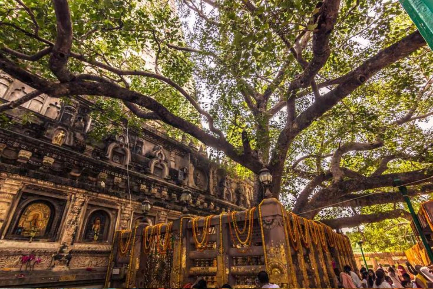 varanasi tour packages